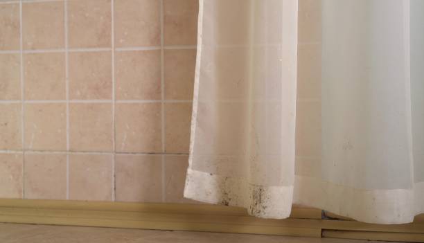 Best Indoor Air Quality Assessment  in Elko New Market, MN