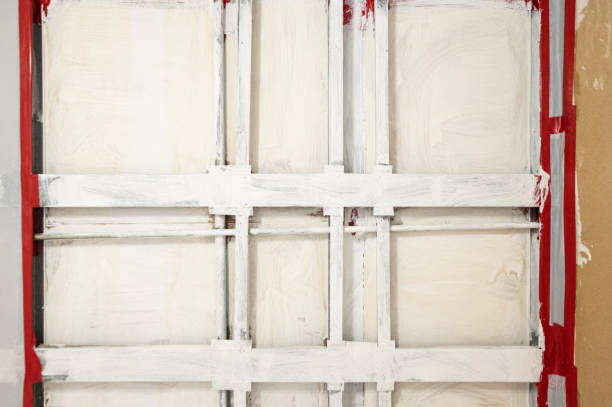 Best Mold Odor Removal Services  in Elko New Market, MN