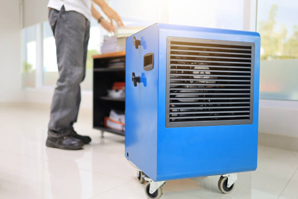 Mold Removal for HVAC Installations in Elko New Market, MN