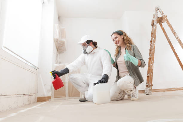 Best Asbestos and Lead Testing During Mold Inspection  in Elko New Market, MN